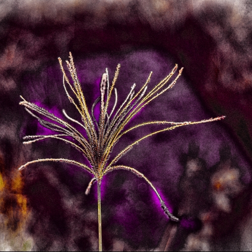 Abstractos. Autor: Gonzalez Ariel