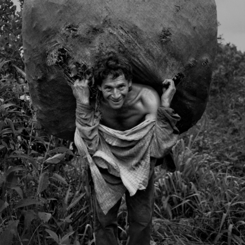 Amadeo Juan Fotografía libre 