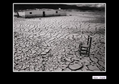 Fotografía Analógica. Autor: Merello Norberto