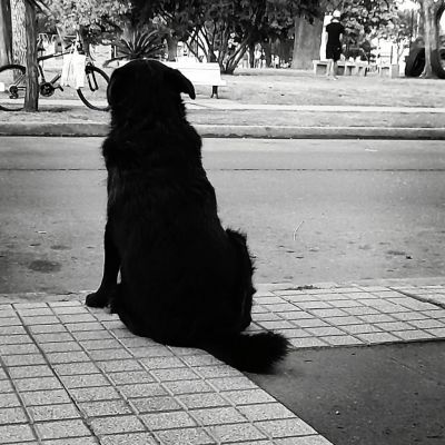 Patricia Vaque Fotografía libre