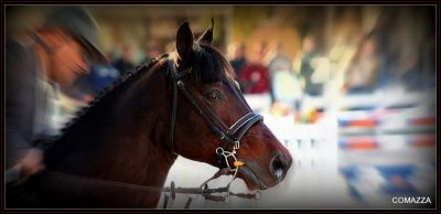 Carlos Mazza: Retratos  paisajes