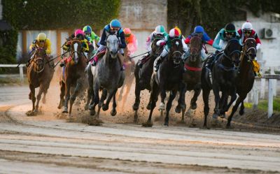 Amadeo Juan Fotografía libre 